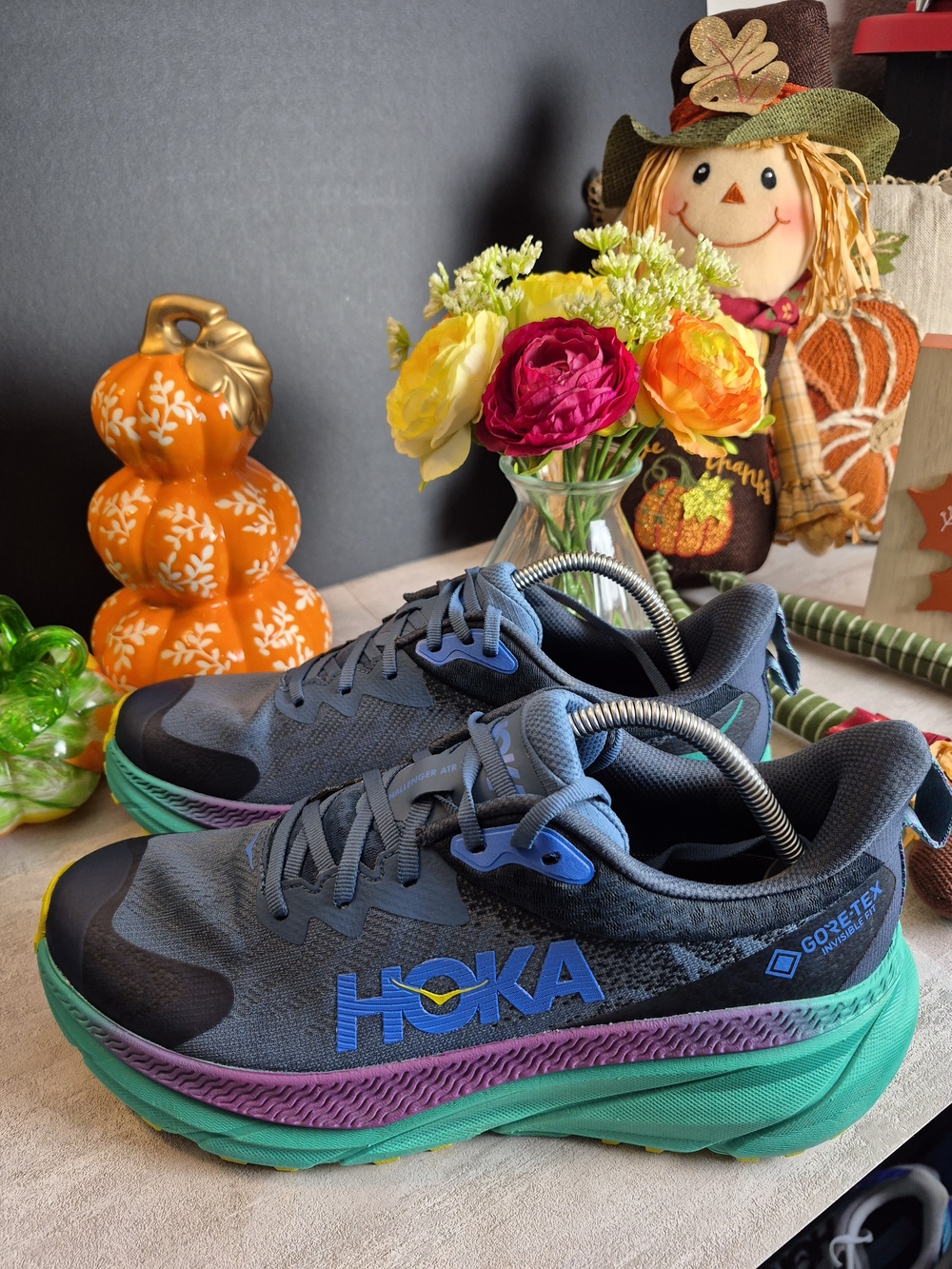 HOKA Mens Challenger ATR 7! Navy&Purple&Green. Gore-Tex. Size10.5b